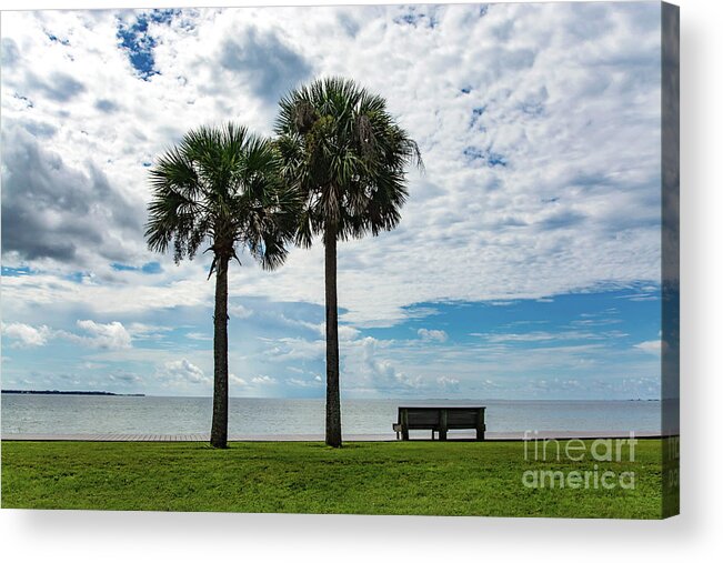 Two Acrylic Print featuring the photograph Two Palms on Pensacola Bay by Beachtown Views