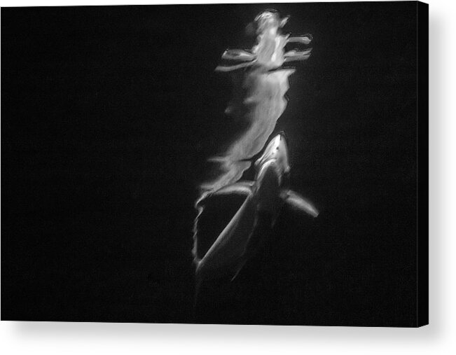 Black And White Acrylic Print featuring the photograph Under the Surface #3 by Gina Cinardo