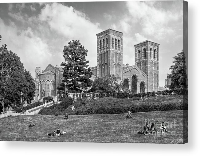 University Of California Los Angeles Acrylic Print featuring the photograph University of California Los Angeles Landscape by University Icons