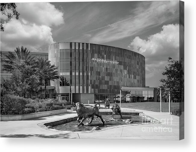 Marshall Student Center Acrylic Print featuring the photograph University of South Florida Marshall Student Center by University Icons