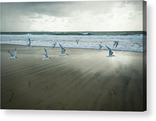 Beach Acrylic Print featuring the photograph Uplift by Ryan Weddle