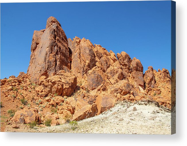 Valley Of Fire Nevada Blue Sky Vegetation Red Rock 2 2 3142020 0256 Acrylic Print featuring the photograph valley of fire Nevada blue sky vegetation red rock 2 2 3142020 0256 by David Frederick