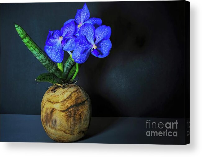 Tropical Acrylic Print featuring the photograph Vanda Orchid and Sansevieria Still Life by Diana Mary Sharpton