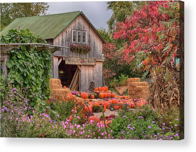 Hudak's Acrylic Print featuring the photograph Vermont pumpkins and autumn flowers by Jeff Folger
