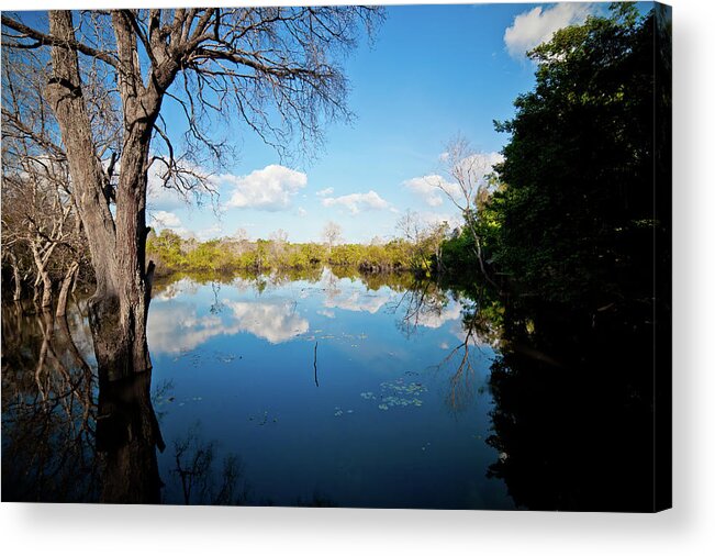 Angkor Acrylic Print featuring the photograph View from Angkor's lake. Cambodia by Lie Yim
