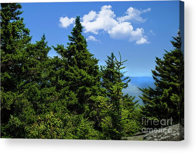 Pine Acrylic Print featuring the photograph View from Grandfather Mountain by Shelia Hunt
