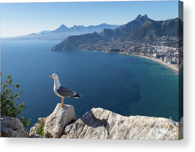 Seagull Acrylic Print featuring the photograph View towards the mountains of the Mediterranean coast by Adriana Mueller