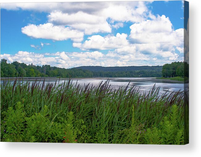 Water Acrylic Print featuring the photograph View through the weeds by Jim Feldman