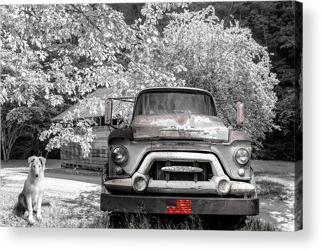 Trucks Acrylic Print featuring the photograph Vintage in Springtime Black and White and Red by Debra and Dave Vanderlaan
