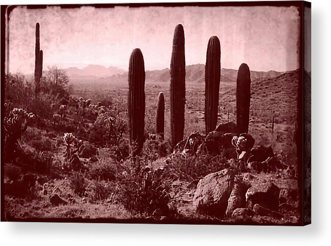 Western Landscape Acrylic Print featuring the photograph Vintage View of Table Top Mountain by Judy Kennedy