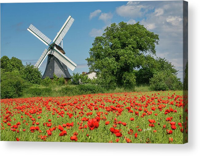 Krokauer Mühle Acrylic Print featuring the photograph Vintage Windmill and Poppies by Jurgen Lorenzen