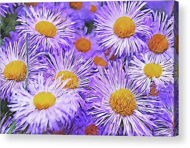 Asters Acrylic Print featuring the mixed media Violet Asters by Alex Mir