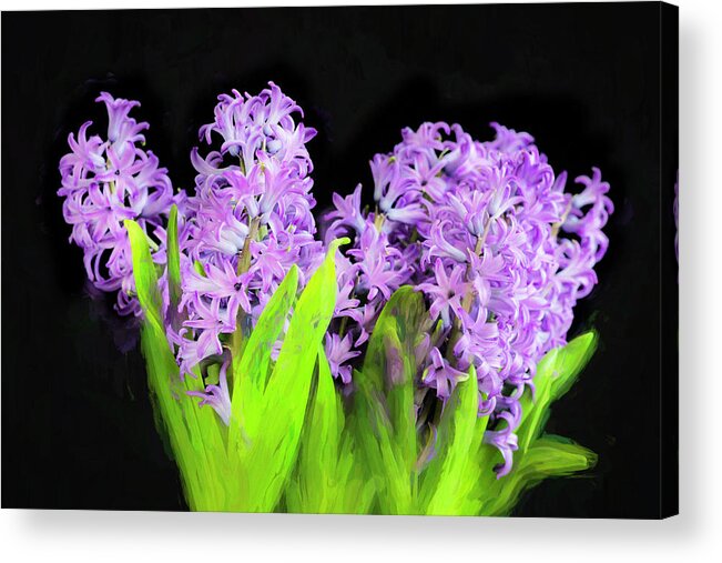 Hyacinths Acrylic Print featuring the photograph Violet Hyacinths X104 by Rich Franco