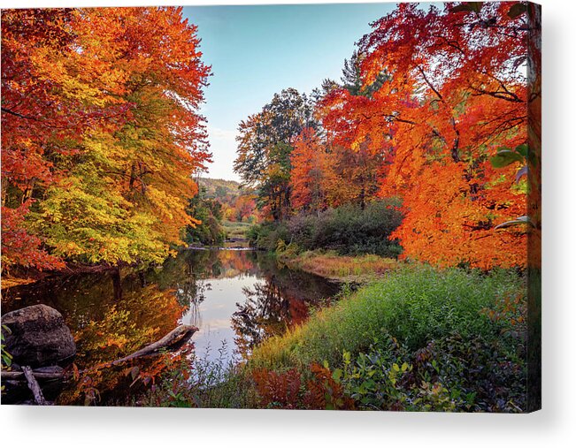 Sunny Farm Acrylic Print featuring the photograph Vivid colors of autumn 4 by Lilia D