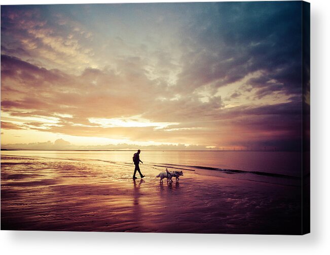 Ambient Light Acrylic Print featuring the photograph Walking the Dogs at Sunset by Spikey Mouse Photography