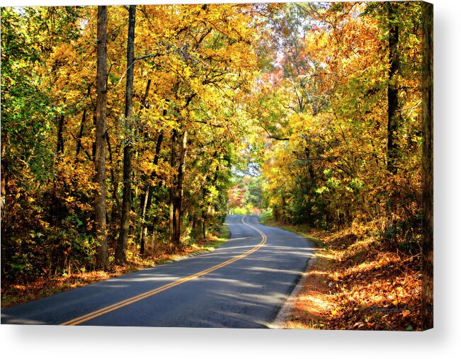 Color Acrylic Print featuring the photograph Walnut Grove Road -2 by Alan Hausenflock