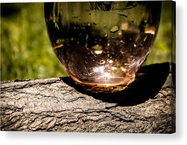 Water Acrylic Print featuring the photograph Water Glass on a Log by W Craig Photography