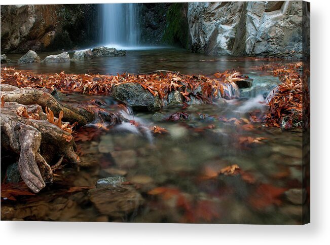 Troodos Acrylic Print featuring the photograph Waterfall and river flowing with maple leaves on the rocks on the river in Autumn by Michalakis Ppalis