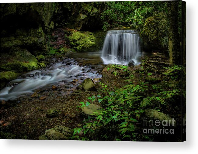 Waterfall Acrylic Print featuring the photograph Waterfall in the Glen by Shelia Hunt