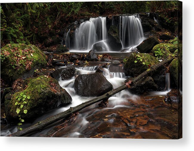 Abbotsford Acrylic Print featuring the photograph Waterfall on Poignant Creek by Michael Russell
