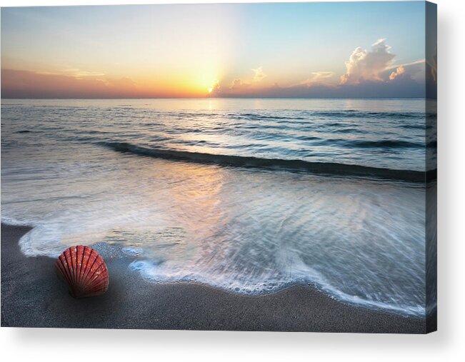 Clouds Acrylic Print featuring the photograph Waves and Shells by Debra and Dave Vanderlaan