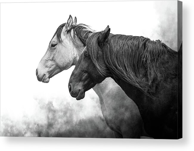 Wild Horses Acrylic Print featuring the photograph We are the Storm by Mary Hone