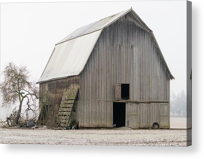 Weathered Acrylic Print featuring the photograph Weathered Barn in the Fog by Catherine Avilez