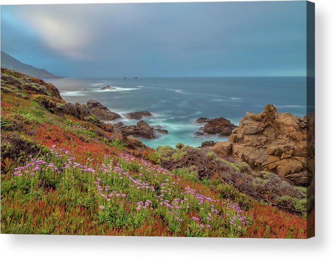 Landscape Acrylic Print featuring the photograph Welcome Spring by Jonathan Nguyen