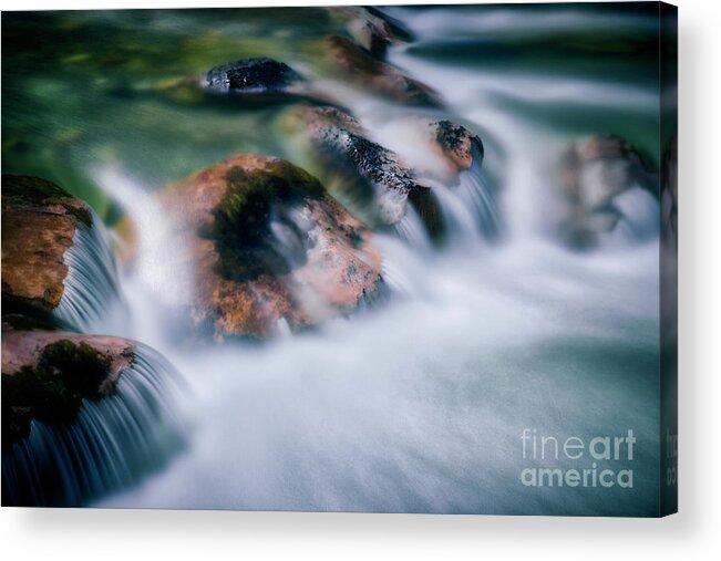 Nag006097 Acrylic Print featuring the photograph Wet, Wet, Wet by Edmund Nagele FRPS