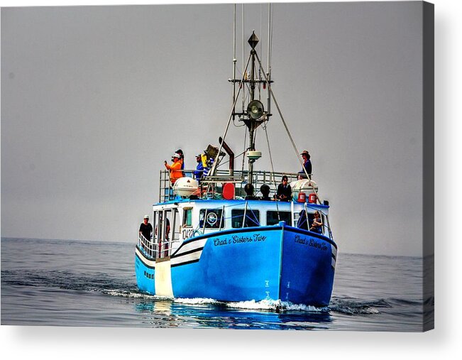 Whale Watching Long Island Nova Scotia Freeport Whales Boats Sea Blue Acrylic Print featuring the photograph Whale Watching by David Matthews