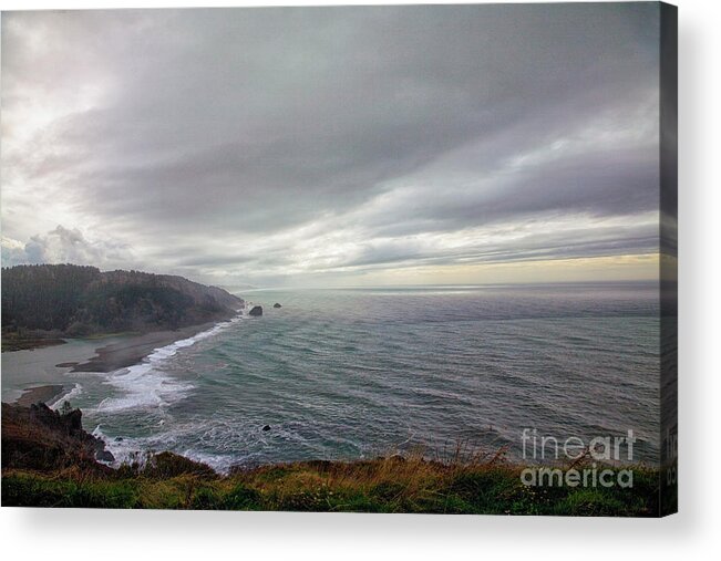 Redwoods Acrylic Print featuring the photograph Where the Redwoods meet the Sea by Timothy Johnson