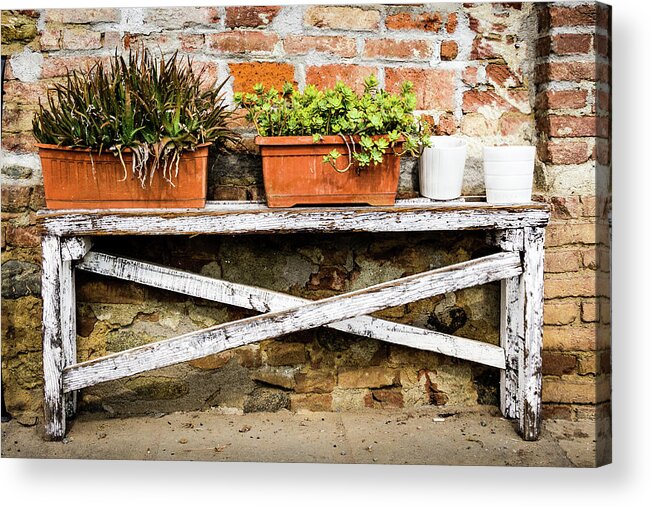 Italy Acrylic Print featuring the photograph White bench with planters by Craig A Walker