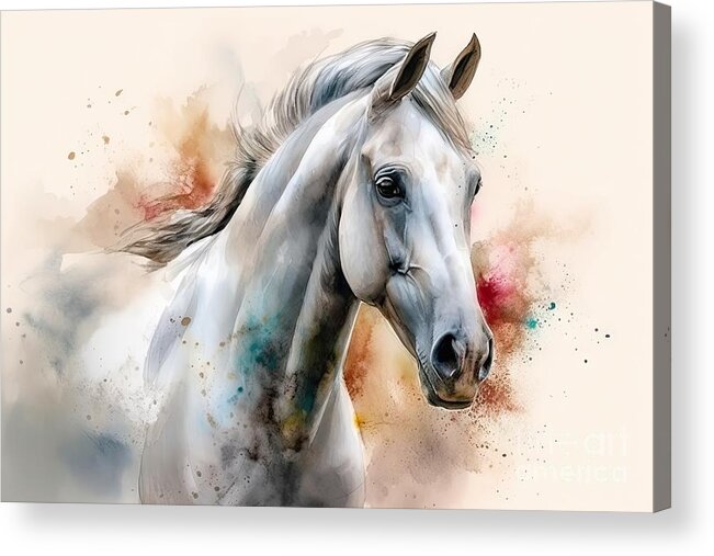 Generative Acrylic Print featuring the painting White purebred Arab horse on a watercolor painting. by N Akkash