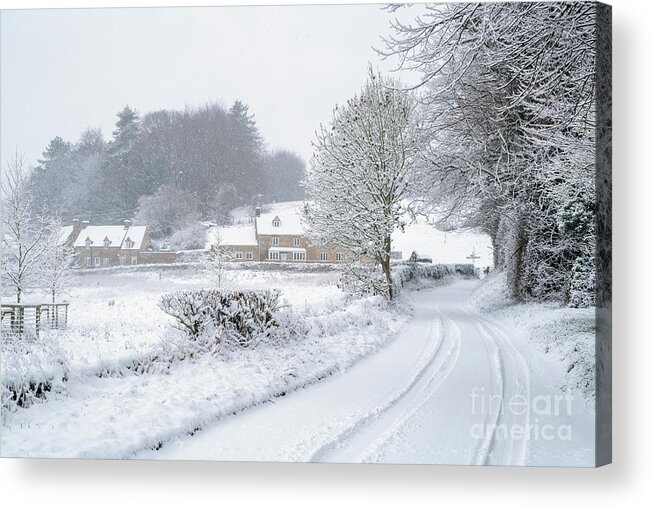 Snow Acrylic Print featuring the photograph White Silence by Tim Gainey