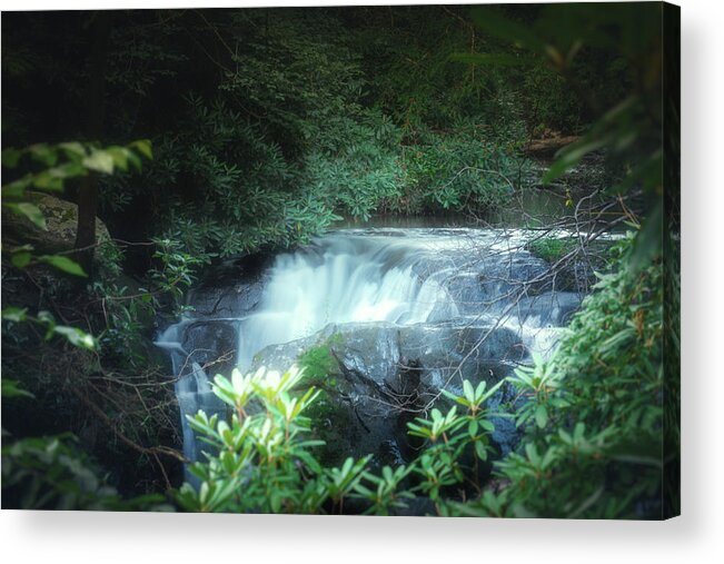 Waterfall Acrylic Print featuring the photograph Wild Creek Falls Through the Trees by Jason Fink