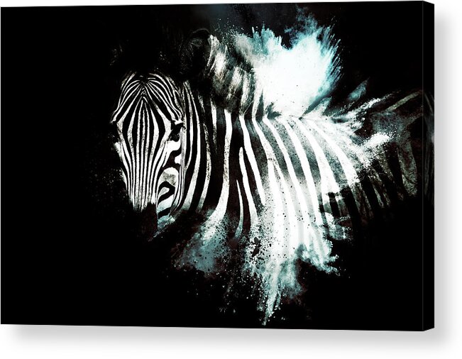 Fine Art Acrylic Print featuring the mixed media Wild Explosion Collection - The Zebra II by Philippe HUGONNARD