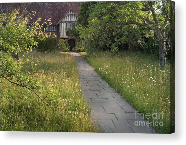 Wildflower Acrylic Print featuring the photograph Wildflower meadow, Great Dixter House and Gardens by Perry Rodriguez