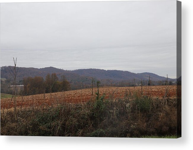 Wilkesboro Nc Acrylic Print featuring the photograph Wilkes Mountains And Pasture by Cathy Lindsey