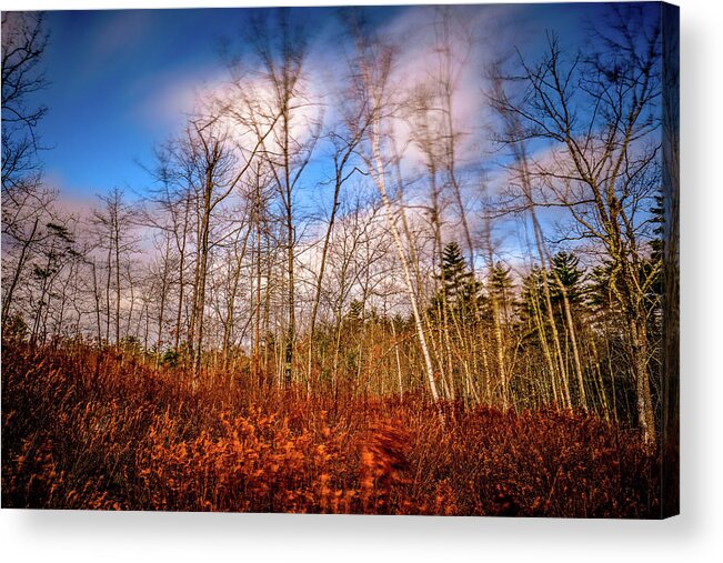 New Hampshire Acrylic Print featuring the photograph Wind Blown Vignette by Jeff Sinon