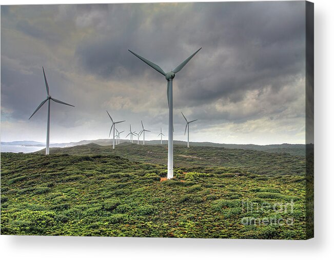 Wind Farm Acrylic Print featuring the photograph Wind Farm, Albany, Western Australia by Elaine Teague