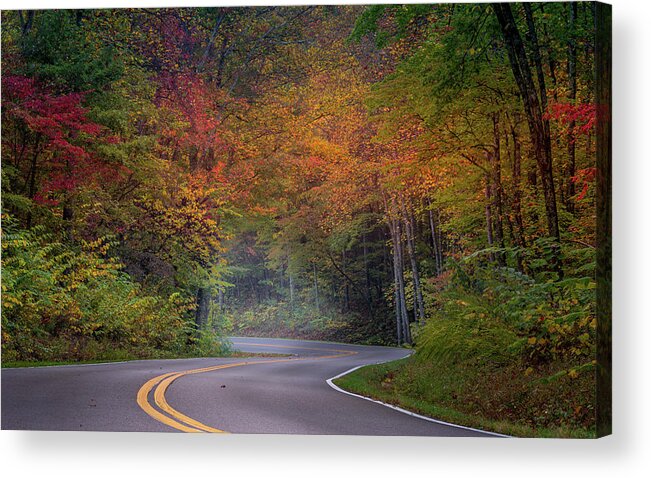 Fall Colors Acrylic Print featuring the photograph Winding Road by Darrell DeRosia