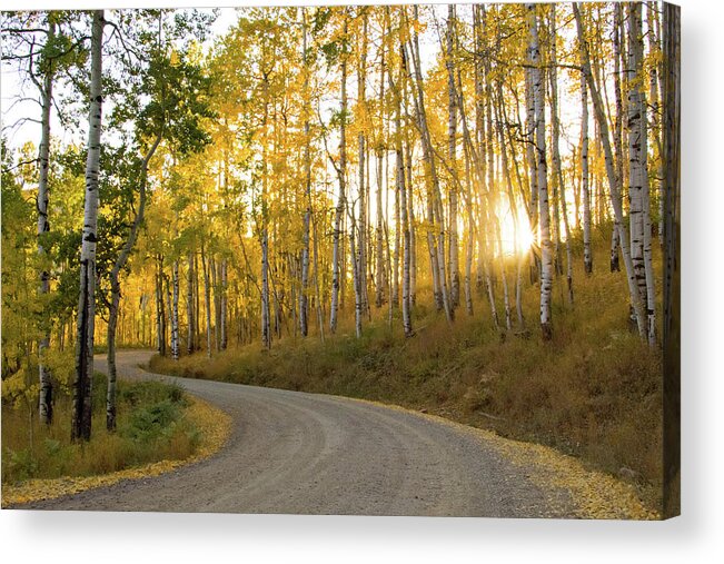 Colorado Acrylic Print featuring the photograph Winding Road by Wesley Aston
