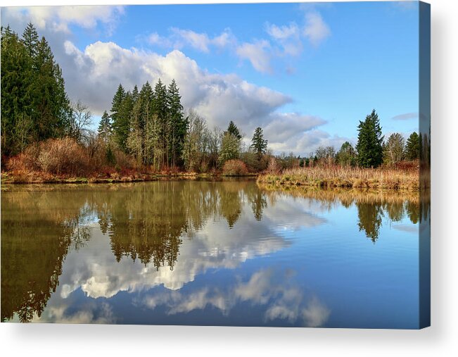 Lake Acrylic Print featuring the photograph Winter at Summer Lake by Loyd Towe Photography