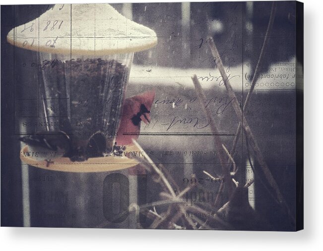 Winter Storm Acrylic Print featuring the photograph Winter Birds at the Feeder by Toni Hopper