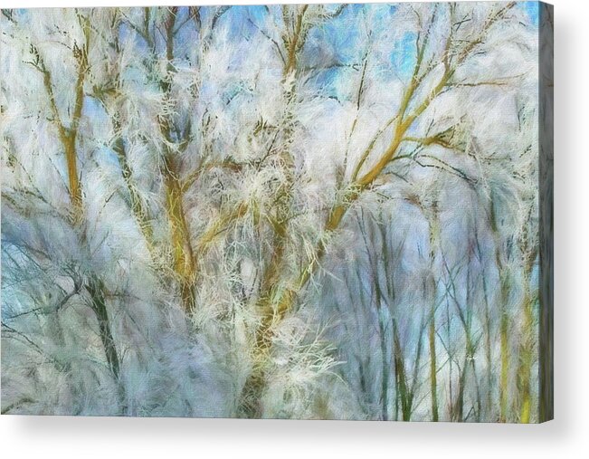 Winter Acrylic Print featuring the digital art Winter Branches by Russ Harris
