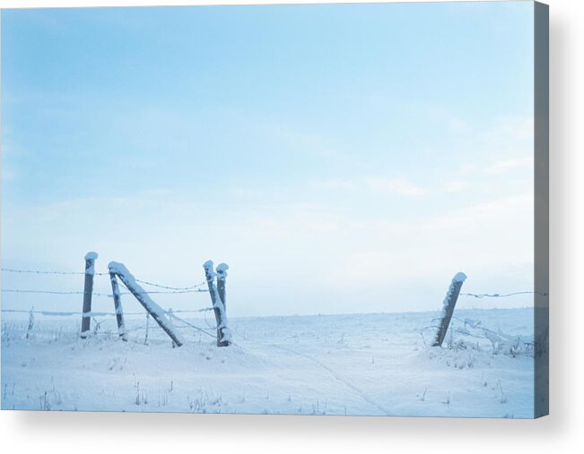Winter Acrylic Print featuring the photograph Winter Fence by Karen Rispin