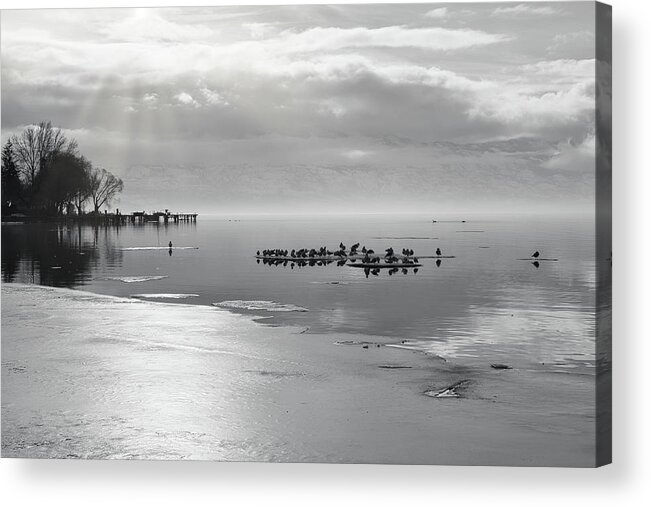 Landscape Acrylic Print featuring the photograph Winter Gulls and Sunrays Black and White by Allan Van Gasbeck