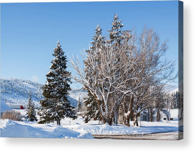 Winter Acrylic Print featuring the photograph Winter scene in Spencer Idaho by Tatiana Travelways