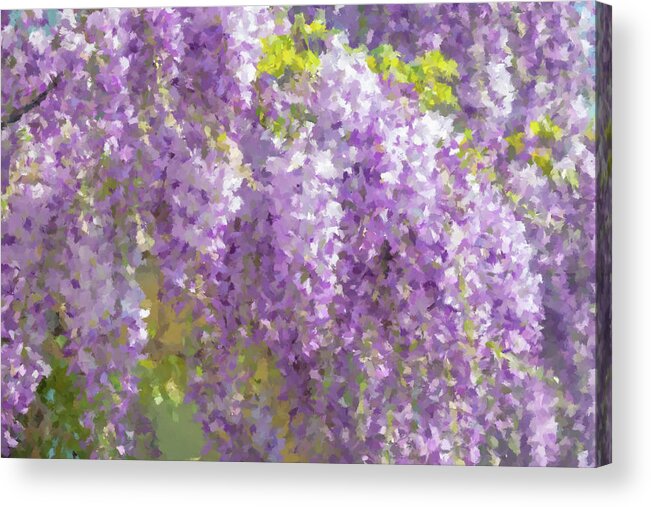 Wisteria Acrylic Print featuring the painting Wisteria in Bloom by Alex Mir