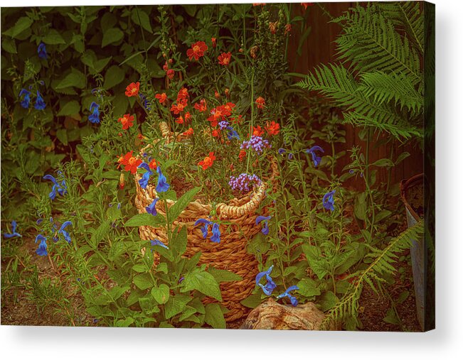 Witch's Basket Acrylic Print featuring the photograph Witch's basket #k2 by Leif Sohlman
